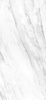 APAVISA ELEGANCE WHITE POLISHED BOOKMATCH BLOCK B 119.3x260 G-3495