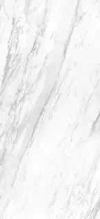 APAVISA ELEGANCE WHITE POLISHED BOOKMATCH BLOCK A 119.3x260x6.5 G-3495