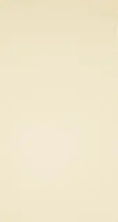 APARICI ANGEL CREMA 31.6x59.2 C-540