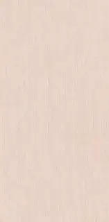 Selina Liniar Grey matt 60x120