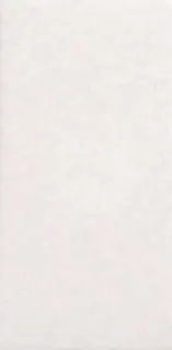 Плитка белая MQ001  матовая ZZ 24.4х11.9