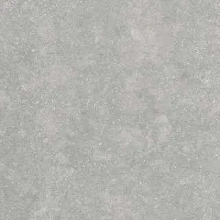 Fossil Gris 2 cm 60x60