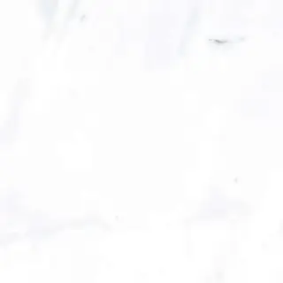 Payer Grey G283/Пайер серый полированный 60x60