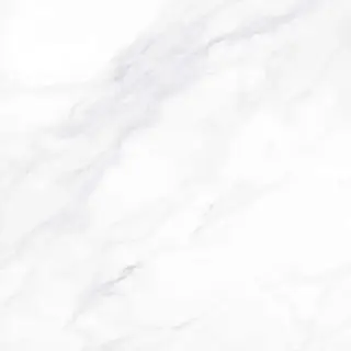 Payer Elegant G281/Пайер Элегантный мат. 60x60