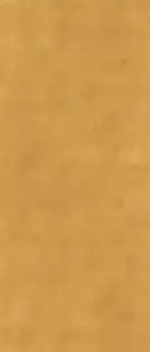 Gold Glossy ZZ 120x280