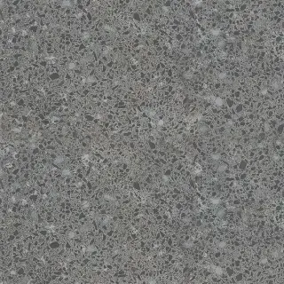 Astaria graphite XX 45х45