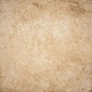 Pietra di Lecce Ambra |50x50