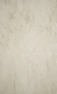 Pietra di Lecce Avorio |30x50