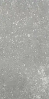 Ardenne Grigio 20x40