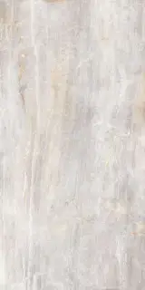 Fossil Perla Nat KL 60x120