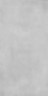 Industrial Light Grey (P) Mat.60x120