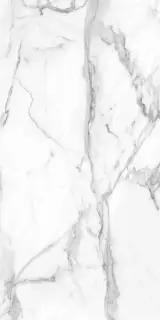 Supreme SM01 platinum полир. 60 х120