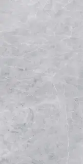 Vision 02 grey неполир. |60х120 XX