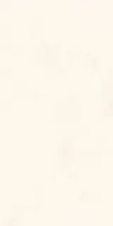 Onice Bianco Extra Luc |60x120