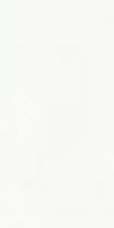 Statuario Classico Soft |60x120