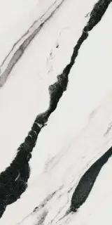 PAN WH6 12 LP |60x120