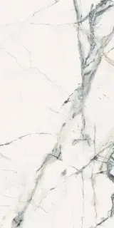 INV WH6 12 LP |60x120