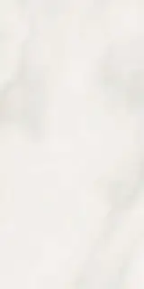 Abs Wh6 12LP |60x120