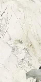 Pat Wh6 12LP |60x120