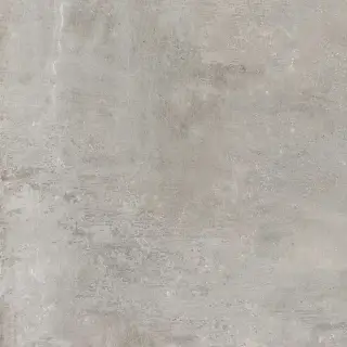 Cult Grey Ret KL 81x81