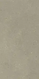 Geology Salvia 60x120