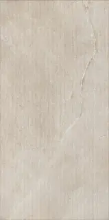 New Stone Daino Rigatino 60x120