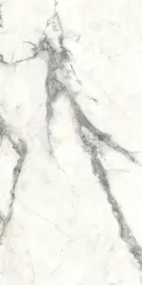 Charme Invisible Grey 60x120