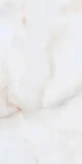 Mono Bianco XX 60x120