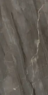 Brown Marble Glos.60x120