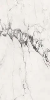 Michelangelo glossy 90x180