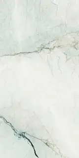 AE CAM6 278 LPM 120x278