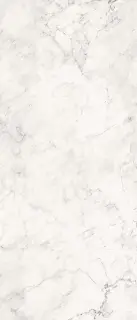 AE CAL6 278 LP 120x278