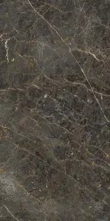 AE GOL6 12 LP 60x120