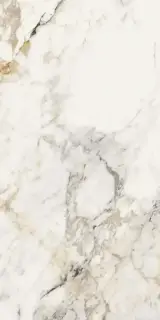 AE PAO6 12 RM |60x120