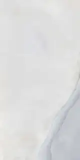 OR AGA 12 RM (п.п.) ZZ|60x120