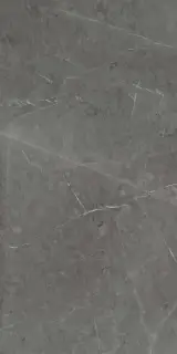 Skala 2203 Темно-серый Лаппатированный 60х120