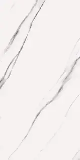 Butik 2020 Белый Матовый 60х120