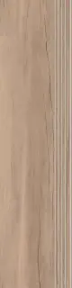 Ступень Alleya 2103 cеро-коричневый  ZZ 29.4x120