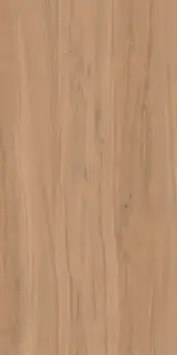 Alleya 2102 Коричневый Структурированный 60x120