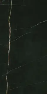 Граните Люссо Неро МR мат. 60х120