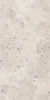 Граните Концепта Бежевый MR мат.ZZ 60х120