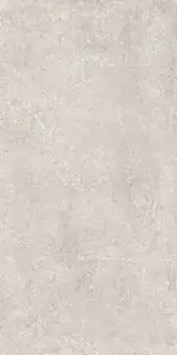 Гранит Перла светло-серый MR матовый |60x120