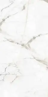 Гранит Паллисандро Оро SR структ |60x120