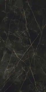 Гранит Сандра черно-оливковый MR матовый 60x120