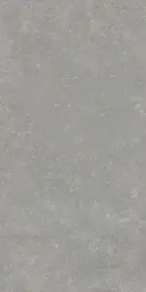 Гранит Глория серый SR структ. |60x120