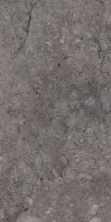 Rock William Grey Carving 80x160