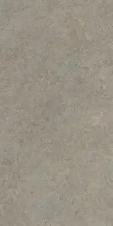 FDMR Lunar Gr. Rett 60x120/ФДМP Лунар Гр. Рет 60x120