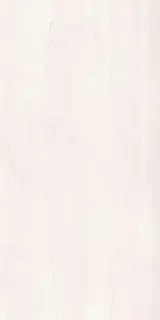 Dorset Blanco 60x120