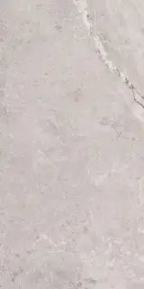 Erding Silver Decorstone 60x120