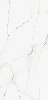 Cr.Torano Dorado leviglass 60X120